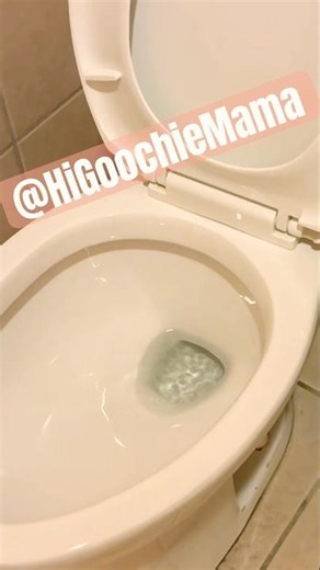 Men’s Restroom Project Source Toilet Flush | Go Go Sushi, Pasadena, California, USA