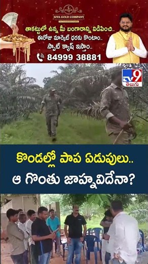 కొండల్లో పాప ఏడుపులు..ఆ గొంతు జాహ్నవిదేనా? - TV9
