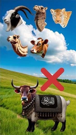 Halal Pakistani Bakra 🐐 Eid Mubarak #trending #viral #islamicshorts #shorts #viralvideos