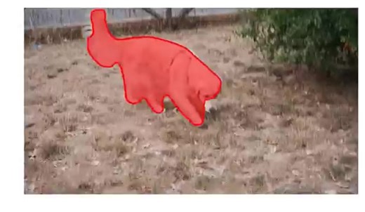 [CVPR2019]SiamMask：精准视频目标跟踪分割算法