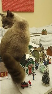 Christmas Train Display! #train #modeltrains #christmas
