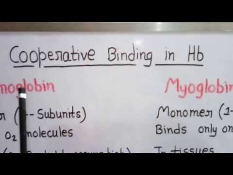 Cooperativity in Haemoglobin