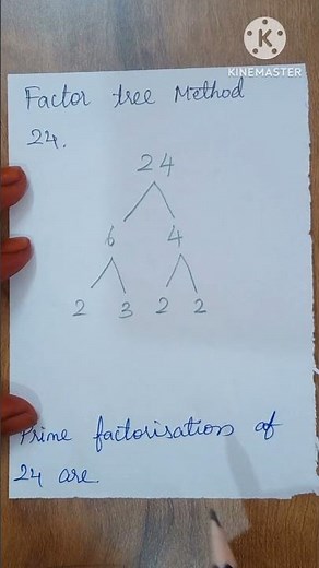 Prime factorization of 24 - Maths / Factor tree method / Factors And Multiples / 🖋🖋🖋