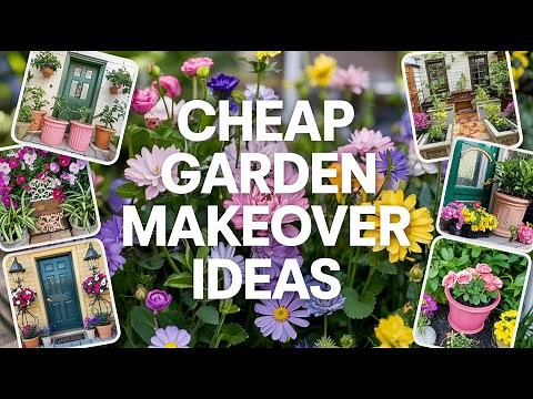 The Ultimate Budget Garden Makeover: Stunning & Cheap Ideas for Your Dream Yard
