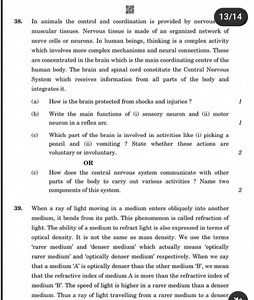 In animals the control and coordination is provided by nervous... | Filo