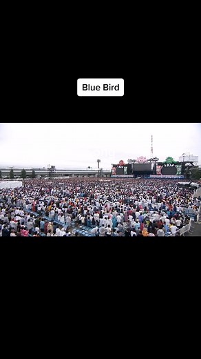 Naruto Shippuden Opening 3 Blue Bird (Ikimono Gakari) #narutoshippuden #Bluebird #ikimonogakari #Naruto #Sasuke #fyp #fypdongggggggg #roadto10kfollowers