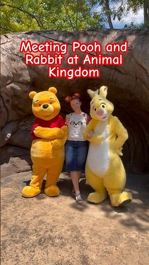 Rabbit and Winnie the Pooh Meeting at Animal Kingdom