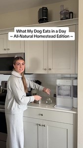 Fresh dog food made easy with custom plans, fast delivery, and flexible scheduling. ❌ No grains or fillers 🥩 Raw for optimal digestion 📦 Free shipping, always 🇺🇸 Made in USA ⭐️ Over 1,000 5-star reviews on Trustpilot Zero fillers, zero mystery—just real food dogs crave. Sign up today & get 40% off your first box! | We Feed Raw