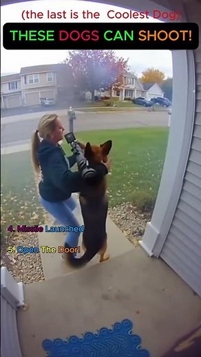 😂 Hilarious AI Dogs With Guns : These Dogs Can Shoot! #funnydogs #ai #sora2