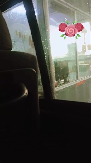 zuni girl (@zuni.girl)’s videos with original sound - 𝘽𝙤𝙡𝙡𝙮𝙬𝙤𝙤𝙙𝙂𝙡𝙞𝙩𝙯𝙮