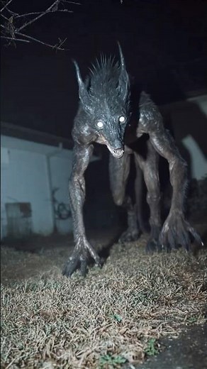 Chupacabra Spotted on Security Camera in Texas Backyard