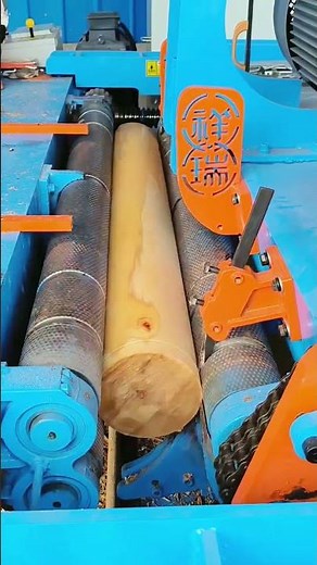 peel bark#villagelife#farming#agriculture#planting #rurallife#enjoyrurallife#cuttingskills