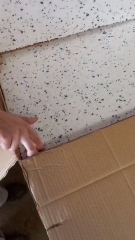 Yamafusa bonsai pot unboxing a beautiful bonsai container