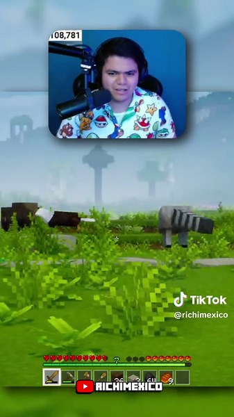 Encuentro con un Mapache en Minecraft y sus Travesuras