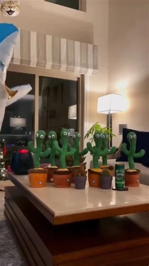 El Palacio Tech Store on Instagram: "🎺🌵 CACTUS BAILARÍN🌵🎺 🎺🌵PELUCHE EN MACETA JUGUETE ELECTRÓNICO CON ILUMINACIÓN PARA LA INTERACCIÓN CACTUS QUE HABLA Y BAILA🎷🌵 🌵Material seguro: material blando, cómodo, seguro, no tóxico.La pelusa es absolutamente segura para los niños.El juguete puede bailar, cantar🌵 🎺⚡️Tamaño y potencia: aproximadamente 32 cm / 12.60 pulgadas en la longitud total, se requieren las baterías 3 AA.Las baterías no están incluidas en la entrega🌵🎺 🌵🌵Uso del regalo: E