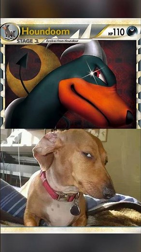 Pokémon Prime Cards were WEIRD