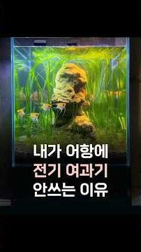 The reason I don't use a filter in my fish tank