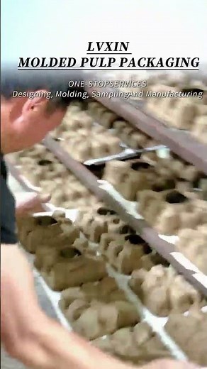 One-Stop Molded Pulp Packaging | Lvxin Packaging