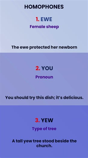 same pronunciation but different meanings Homophones