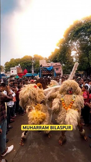 Muharram 2025 Sher Dance | Muharram Day 1 | Muharram Bilaspur #sherdance #muharram #ytshorts
