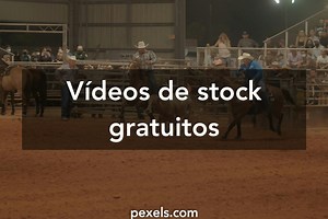 Vídeos de Caballos Salvajes Apareándose Duro