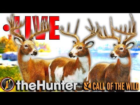 It's WHITETAIL GRIND Time! | Setting Up & Grinding for a Great One! | LIVE