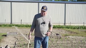 Hey Neighbor! In this episode, we'll show you how to keep your onions weed-free using Hoss Tools and expert tips. Whether you're a seasoned gardener or a first-time onion grower, you'll find valuable insights on how to effectively weed around your onion plants. We'll teach you how to identify and control onion weeds and provide the best tools and techniques to keep your onions healthy and productive. Let's Grow Together! Get Dirty! WEBSITE - https://hosstools.com/ EMAIL NEWSLETTER SIGN-UP - http