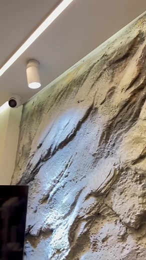 Modern Office Lobby Design with Textured Stone Wall