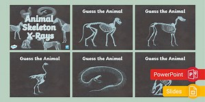 Guess the Animal Skeleton X-Rays PowerPoint & Google Slides