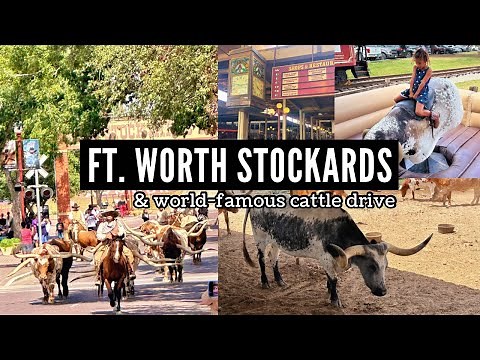 FORT WORTH STOCKYARDS + CATTLE DRIVE