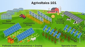 There Is One Clear Winner In The Corn Vs. Solar Battle - CleanTechnica
