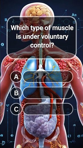 Muscle Quiz 💪 Voluntary vs Involuntary Muscles Explained