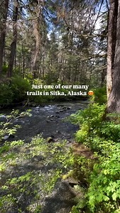 1.8K views · 1.5K reactions | That light at the end tho  : @tongasstreks #visitsitka #sitkaalaska #hikingtrips #travelalaska | Visit Sitka | Facebook