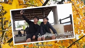 1.1K reactions · 242 shares | Taiwan Tourism ID #TaiwanWavesOfWonder #SaatnyaBerkunjungkeTaiwan #TaiwanTourismID #Taiwan #andrewkalaweit #LoveFunTaiwan #EmbracingTaiwan #RasakanKeajaibanAlam ❤ | Embracing Taiwan | Facebook