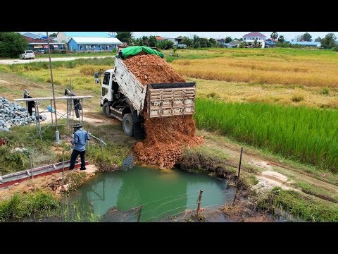 Start new project with energy bulldozer push stone for filling the farm unload by truck 5 ton