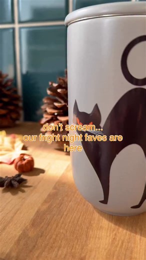 BOO! (hehe gotcha) • BOUH! (héhé on vous a eu) | DAVIDsTEA