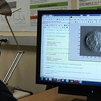 Video: Quantitative Optical Microscopy: Measurement of Cellular Biophysical Features with a Standard Optical Microscope