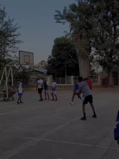 . . . .🦇🦇🦇🦇🦇🦇🦇🦇