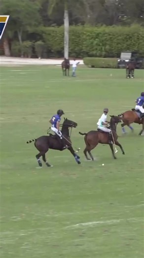Park Place Shines in the USPA Gold Cup