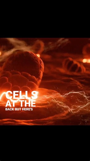 The Human Eye ! creator's masterpiece #philosophy #life #documentary #eye #eyes #humaneyes | Lifelaps