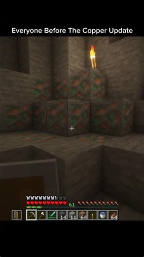 Everyone after the copper update 🥀 #minecraft #memes #shorts #foryou