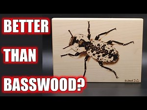 Best Wood for Pyrography Portraits and Realism