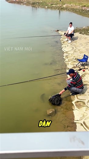 Should we catch or release the fish that come to us on their own?