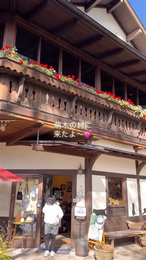 Kyoko Numajiri on Instagram: "3日から家族で1泊で八ヶ岳方面に行ってきました💕 こちら方面は何度か来ていますが、今回は行った事のない場所を見て周りました💓 清里高原の『萌木の村』へ 少し前に「カントリーフェスタ」をやっていたのは知っていましたが、予定が合わず残念😓 でも紅葉🍁がベストタイミングで紅葉している木々が美しくてうっとり✨✨✨ 実は直前に雨☔から霙❄️になって、慌ててコンビニで傘を買ったら直ぐ止んでくれてほっ😮‍💨 やはり山の天気ですね😅 最初は地面が濡れていたのでカートに乗せて歩きましたが、途中からは降ろしてココルさんは尻尾フリフリ❤️ 相変わらず人やワンちゃんが来ると嬉しくてみんなにご挨拶😂 ケティも老犬ながら頑張って歩いたよ💓 ここはワン子連れにも優しくて、抱っこしていれば色々なお店の中にも入れるのが嬉しい💕 オルゴール博物館の『ホール・オブ・ホールズ』の中にも入れるとの事だったので、みんなで入館してオルゴールコンサートも楽しめました💓 音が大きい時はワンコ達の事を考えてちょっと外に出たけどね💦 この日が最終日のハロウ