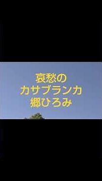 #昭和歌謡曲の世界 🌟11【哀愁のカサブランカ】#郷ひろみ