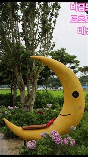 비금도 명사 십리 해수욕장 하트해변조망수국 정원