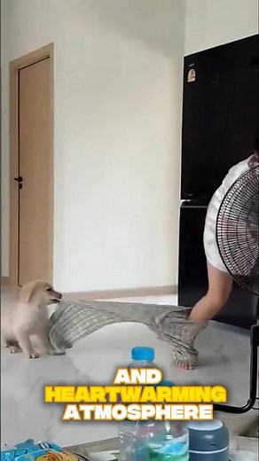 naughty dog girl nude naked#shorts