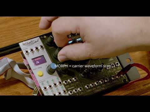 Forge TME VHIKK X algorithm exploration