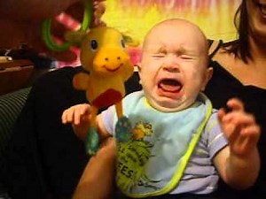 Cloud Scared of Cow Toy