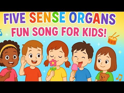 The Five Sense Organs 👀👂👃👅🤚|| Learning Fun Songs For Kids